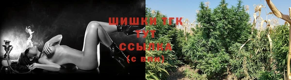 дурь Михайловск