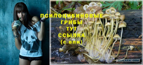 spice Михайловка