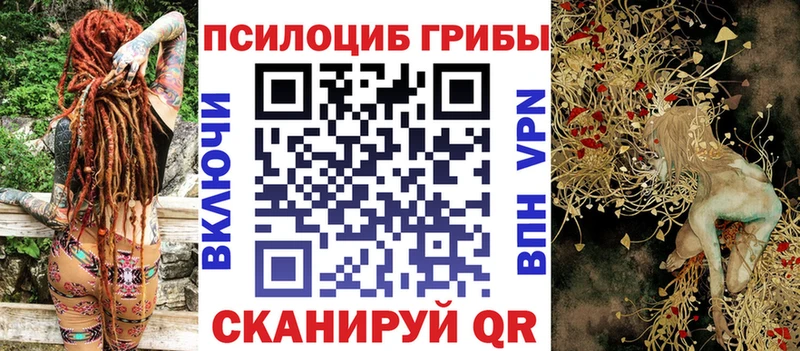 Псилоцибиновые грибы Psilocybine cubensis Вытегра